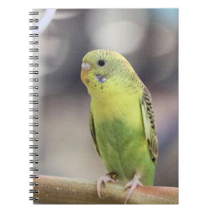 Kiwi Burbell Notebook