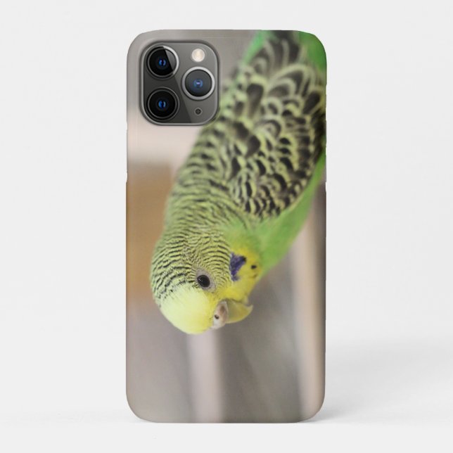Kiwi Case-Mate iPhone Case (Back)