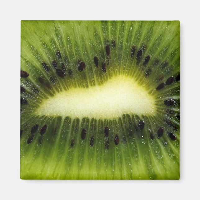 Kiwi Fruit Magnet (Front)