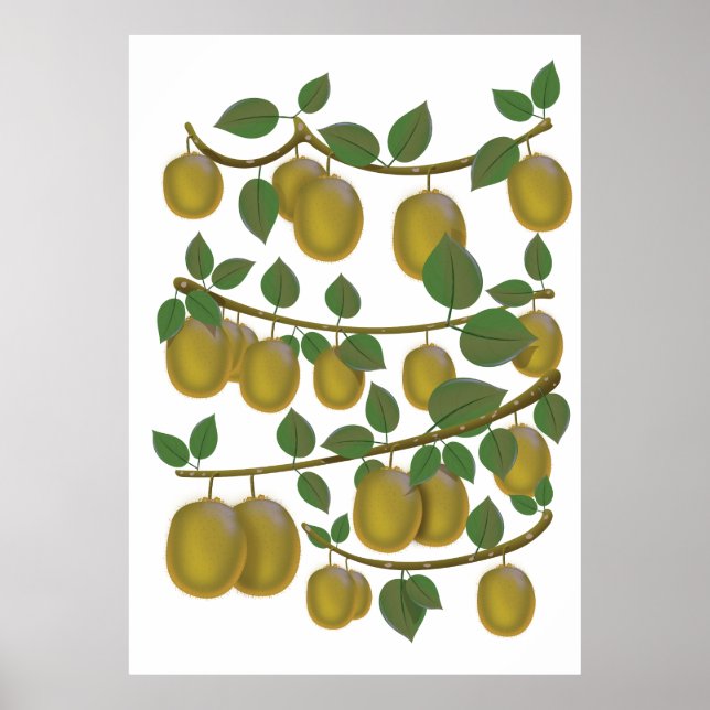 Kiwi Fruit Poster (Front)
