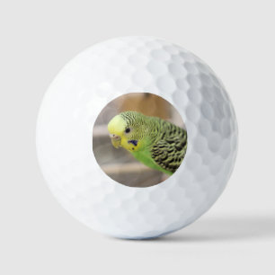 Kiwi Golf Balls