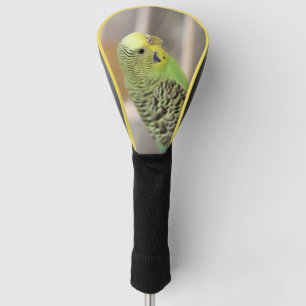 Kiwi  golf head cover