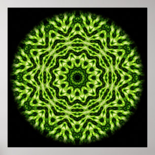 Kiwi Kaleidoscope Poster