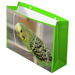 Kiwi Large Gift Bag