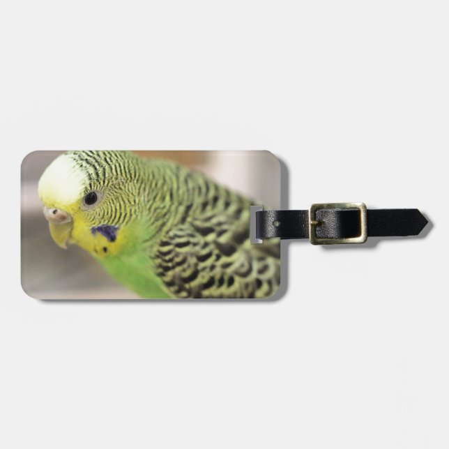 Kiwi Luggage Tag (Front Horizontal)