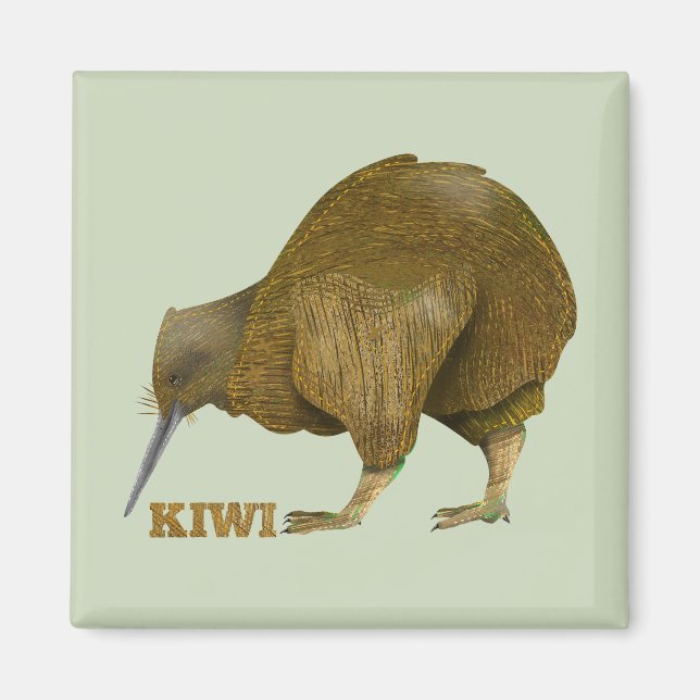 Kiwi N.Z. Bird Magnet (Front)