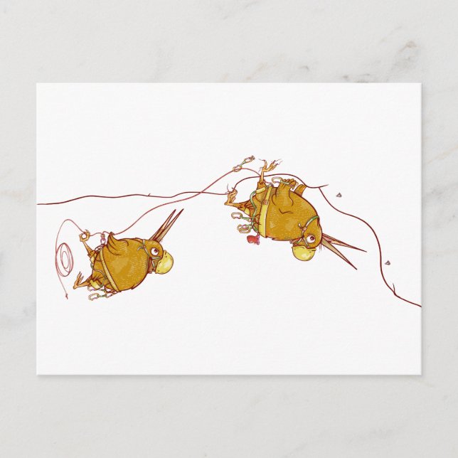 Kiwi NZ BIRDS ROCK CLIMBING Postcard (Front)