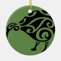 KIWI of AOTEAROA new zealand