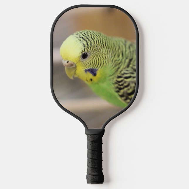 Kiwi Pickleball Paddle (Front)