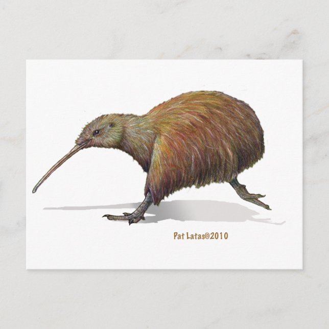 kiwi postcard (Front)