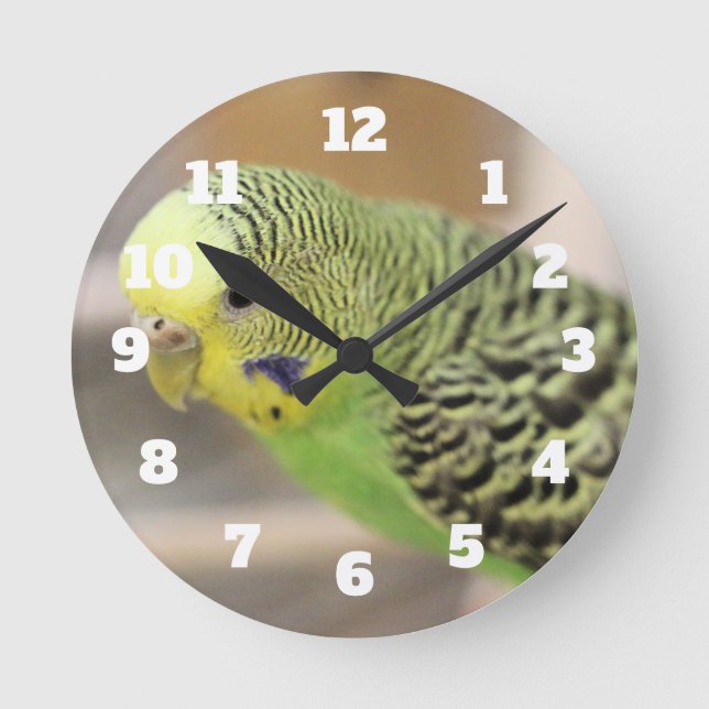 Kiwi Round Clock (Front)