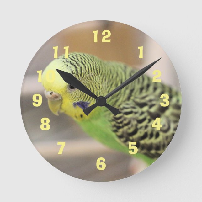 Kiwi Round Clock (Front)