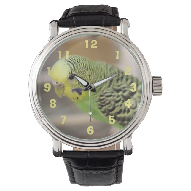 Kiwi Watch (Front)