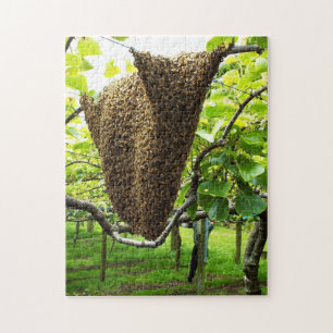 Kiwifruit Bee Hive Puzzle