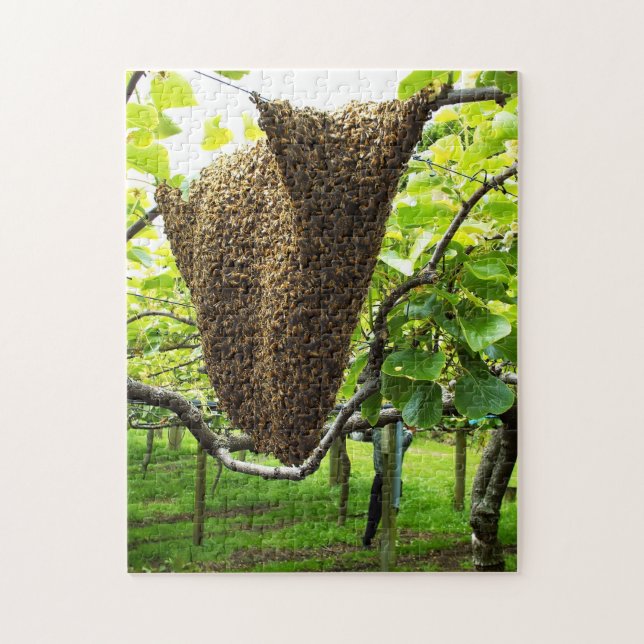 Kiwifruit Bee Hive Puzzle (Vertical)