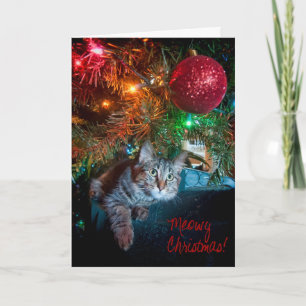 Kizmet la carte de voeux de vacances de chaton