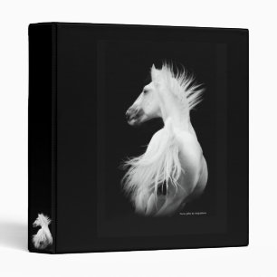 Kladruber Stallion Binder