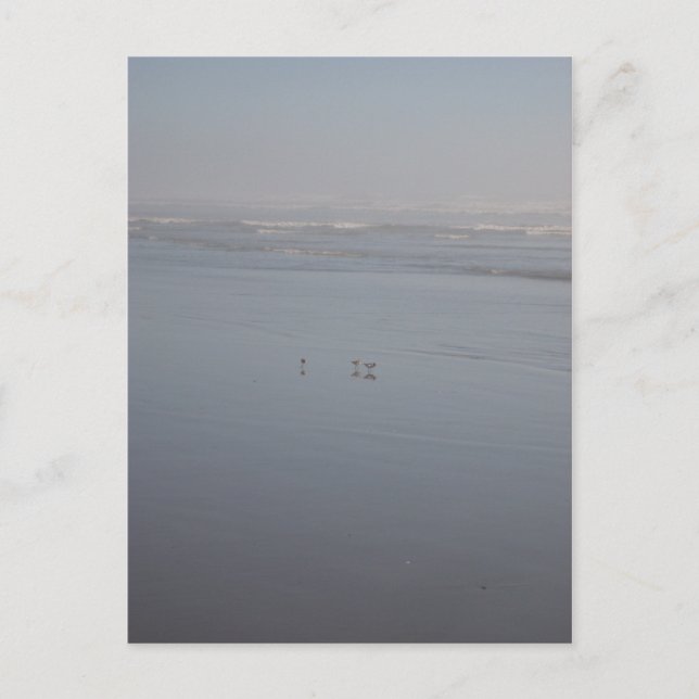 Klalaoch & Birds Postcard (Front)