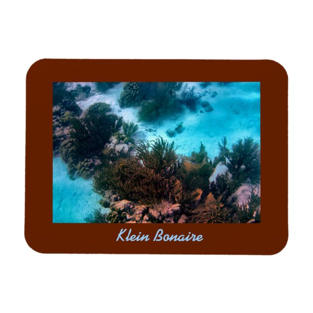 Klein Bonaire Reef Magnet (Horizontal)