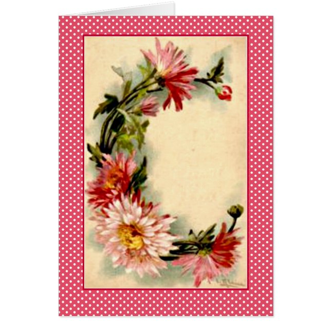 Klein Flower Alphabet Letter D Pink Chrysanthemuns (Front)