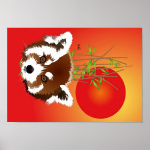 Kleiner Panda (Ailurus fulgens) Poster