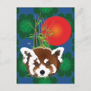 Kleiner Panda (Ailurus fulgens) Postkarte Postcard