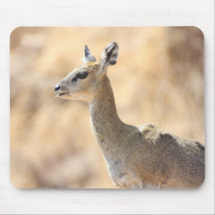 Klipspringer Mouse Pad