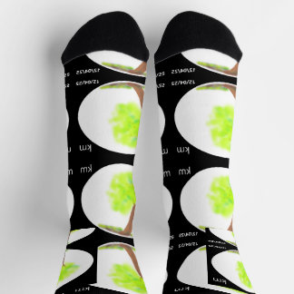 km tree painting socks