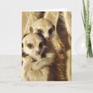 KMP Card 1 - Frisky Pups