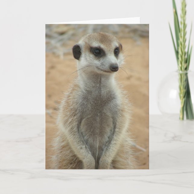 KMP Card 3 - Hemulen Moomins (Front)