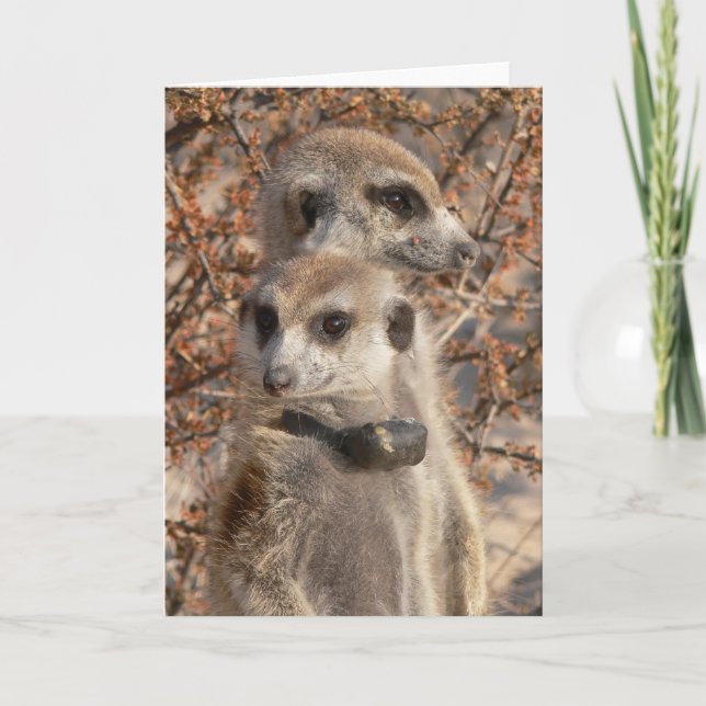 KMP Card 4 - Jo Jo Hello and Habusu (Front)