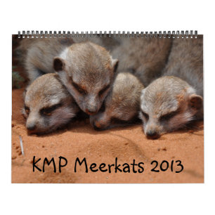 KMP Meerkats 2013 Calendar