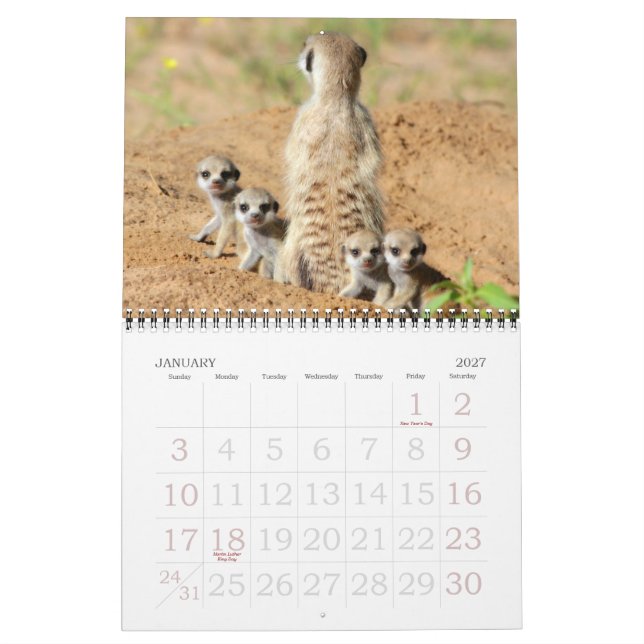 KMP Meerkats - 2015 Calendar (Jan 2027)