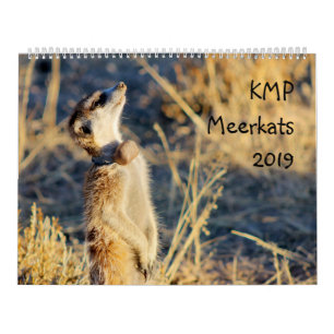 KMP meerkats - 2019 calendar