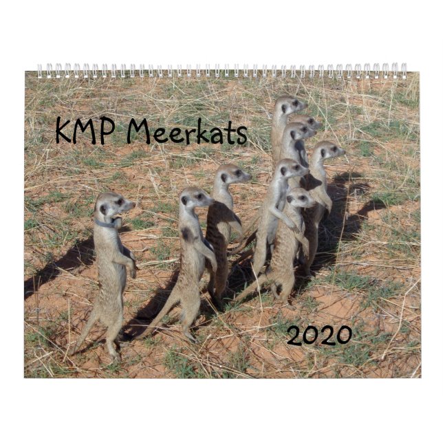 KMP Meerkats - 2020 Calendar (Cover)