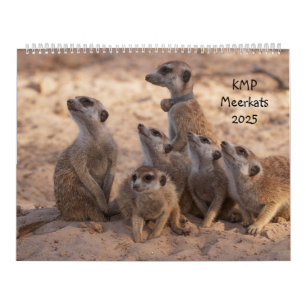 KMP Meerkats 2025 Calendar