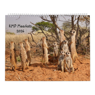 KMP Meerkats 2026 Calendar
