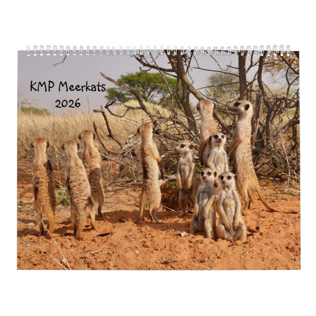 KMP Meerkats 2026 Calendar (Cover)
