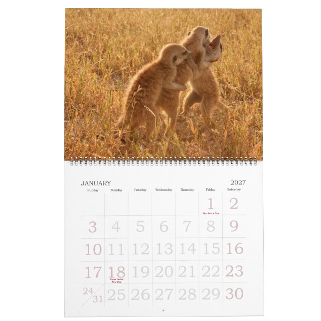 KMP Meerkats - Calendar 2009 (Jan 2027)