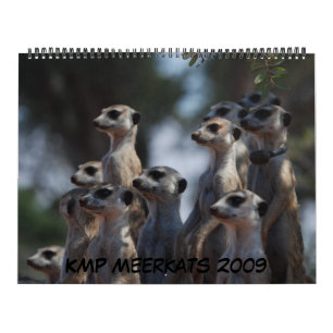 KMP Meerkats - Calendar 2009