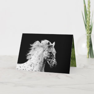 Knabstrupper Stallion Runs Horse Greeting Card