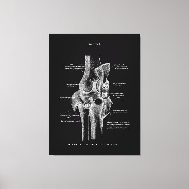Knee Joints Anatomy Art Canvas Print (Front)
