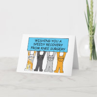 Knee Surgery  Speedy  Recovery Cartoon Cats