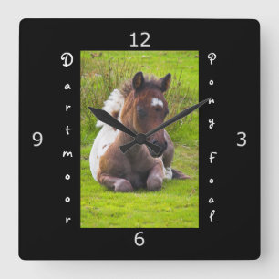 Kneeling Dartmoor Pony Foal Square Wall Clock