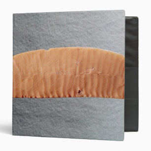 Knife blade binder