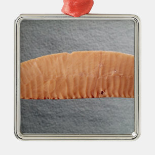 Knife blade metal ornament