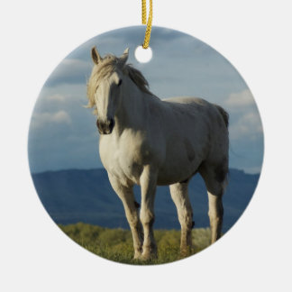 Knight of Dreams Ceramic Ornament