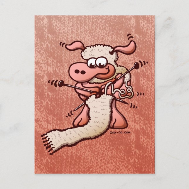 Knitting Sheep Postcard (Front)