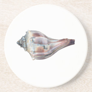 Knobbed Whelk Shell Coaster