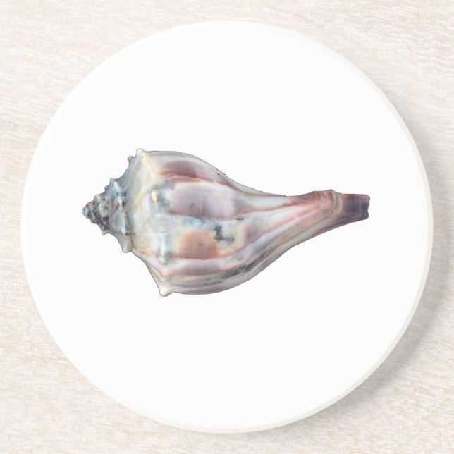 Knobbed Whelk Shell Coaster (Front)